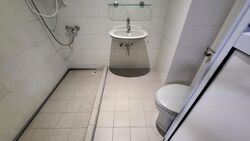Dunearn Road (D11), Condominium #474200681